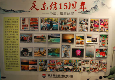 “文化剪影 幸福共享”——慶東信15周年書法、攝影展