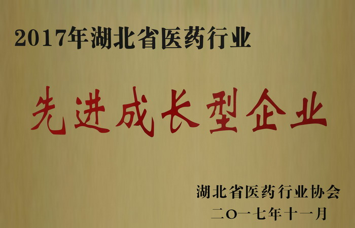 東信藥業(yè)榮獲“湖北省醫(yī)藥行業(yè)先進(jìn)成長(zhǎng)型企業(yè)”，“混合脂肪酸甘油酯...